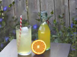 Boisson Gazeuse Facon Orangina Au Thermomix Recette Thermomix Recettes De Boissons Thermomix Jus De Fruit Thermomix