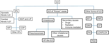 It is important to look for pneumonia in patients that may have been vomiting, have undergone anesthesia, prolonged recumbency, have megaesophagus, immune compromise or airway susceptibility (e.g. Interstitial Lung Diseases In Dogs And Cats Part Ii Known Cause And Other Discrete Forms Sciencedirect
