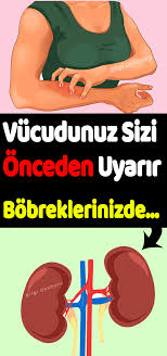Vucudunuz Sizi Onceden Uyarir Health Fitness Health Movie Posters