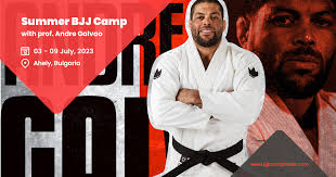 Summer BJJ Camp