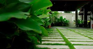 Taman rumah garden garten ideen garten deko und sumber. Buntu Nak Hias Laman Ini 10 Idea Susun Stepping Stone Dan Batuan Sungai Yang Boleh Di Tiruvasi Impiana