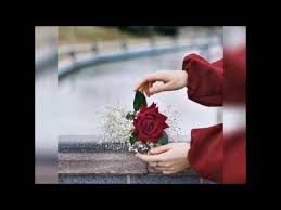 رمزيات ورد youtube iphone wallpaper wallpaper wallpaper downloads