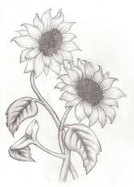 Sunflower Drawing On Pinterest Sunflower Art Watercolor Pencil Drawings Of Flowers Sunflower Sketches Sunflower Drawing