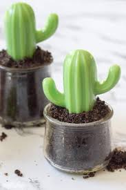 However, i don't mind a little tequila. Cactus Soap Diy Terrariums With Coffee Body Scrub