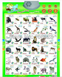 russian english turkish learning toys kid animal