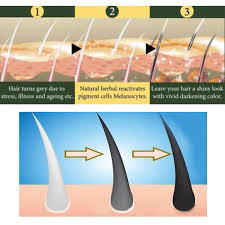 Substances such as coffee, black tea, ground cocoa and sage work to naturally dye your hair. Black Hair Shampoo Natural Darkening Shampoo Permanent Black Hair Ginger Colouring Herbs Improves Follicle Root Growth Amazon De Beauty