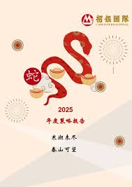 2025 年度策略报告寒潮未尽春山可望