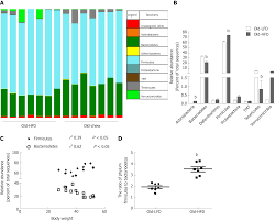 prolonged high fat diet feeding promotes non alcoholic fatty