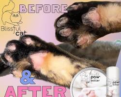 cat paw care productsの画像