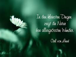 Zitate Fruhling