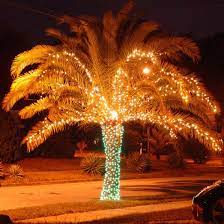 Mele Kalikimaka Florida Christmas Christmas Palm Tree Beach Christmas