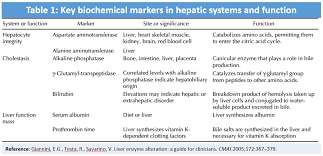 Emdocs Net Emergency Medicine Educationelevated Liver