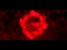 как сделать заставку для видео в Sony Vegas Pro Youtube Neonovaya Zhivopis Illyuzii Animirovannaya Grafika