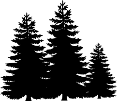 Evergreen Tree Stencil Google Search Burnedwoodstenciling Evergreen Tree Stencil Google Search Silhouette Clip Art Pine Tree Silhouette Tree Stencil