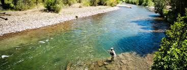 Rivers sometimes have dams to hold the water for people to drink, or to make electricity. Healthy Rivers And Ecosystems Nrdc