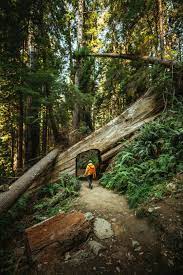 Maybe you would like to learn more about one of these? 10 Awe Inspiring Things To Do In Redwood National Park The Mandagies