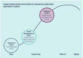 The chief compliance officer job description cco acts as staff to the ceo and corporate compliance committee. How The Chief Compliance Officer Role Is Transforming Across Financial Services Thought Leadership Russell Reynolds Associates