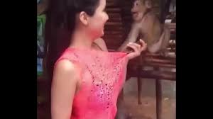 Girl and monkey sex - XNXX.COM
