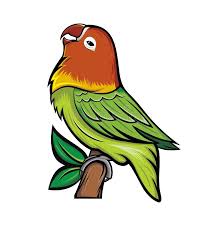 Ada sketsa burung hantu, merak, merpati, garuda, kakak tua, dan burung lainnya. Beauty Lovebird Stock Illustrations 558 Beauty Lovebird Stock Illustrations Vectors Clipart Dreamstime