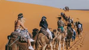 نتیجه جستجوی لغت [nomadic] در گوگل