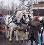 Profile Picture of Sauk Rapids Living Nativity Scene Is Back Again [VIDEO] - WJON (@wjon.com) on Google
