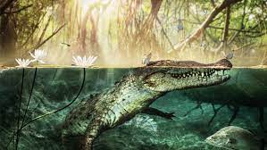 Maybe you would like to learn more about one of these? Arti Mimpi Tentang Buaya Yang Banyak Bikin Penasaran