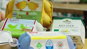 Sollten sie hahn und henne in einen korb mit sisal oder auch in einen topf mit frischen frühblühern platzieren wollen, so können sie das ganze dann noch mit einer zarten organzaschleife verzieren und zu das paar aus hahn und henne ist bei der lieferung durch einen draht miteinander verbunden. Bruderhahn Vs Kukenschreddern Der Beste Deal Ard Das Erste