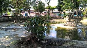 Taman buaya di bekasi mungkin tak terlalu populer sebagai tempat wisata. Taman Buaya Indonesia Jaya Penangkaran Buaya Terbesar Di Asia Backpacker Jakarta