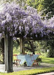 Pergola Reference Fermob Dining Chairs Backyard Wisteria Trellis Pergola Garden