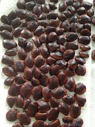How To Make Tamarind Paste And Using The Seeds Tamarind Recipes Tamarind Paste Recipes Tamarind Fruit