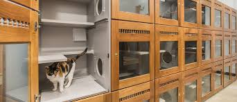 Hotels near bow valley parkway. Pet Boarding Near Me For Cats Off 53 Www Usushimd Com