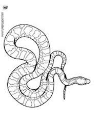 Famous snake from amazon anaconda coloring page : Snake Coloring Pages Learny Kids