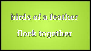 Birds Of A Feather Flock Together Meaning In Tamil Birds Of A Feather Flock Together Meaning Youtube