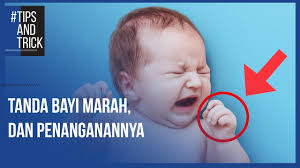 Bayi menangis karena berbagai alasan, termasuk lapar, mengantuk, lelah, bosan, popok kotor hingga masalah pencernaan, simak cara menanganinya. Viral Berusia 2 Bulan Inilah Kata Pertama Yang Diucapkan Bayi Donita Semua Halaman Nakita