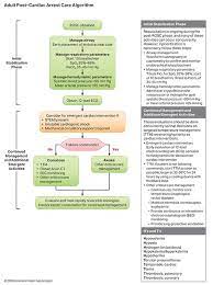 We did not find results for: Algorithms American Heart Association Cpr First Aid