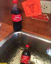 Rose I Ll Never Let You Go Jack Drowning In The Sink Ice Coca Cola Named Cans Starecat Com