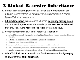 The x chromosome is significantly longer than the y chromosome and contains hundreds more this means that almost any gene on the x, even if it is recessive in the female, will. Sex Linkage And Sex Determination Ppt Download