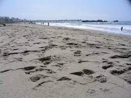 Seacliff Beach Santa Cruz Beach Santa Cruz Favorite Places
