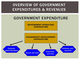 Malaysia summary malaysia is a parliamentary democracy and constitutional monarchy. Topic 9 Government Revenue Expenditure