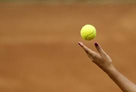 All prices are exclusive of vat. 10 New Uses For Tennis Balls How To Recycle A Tennis Ball