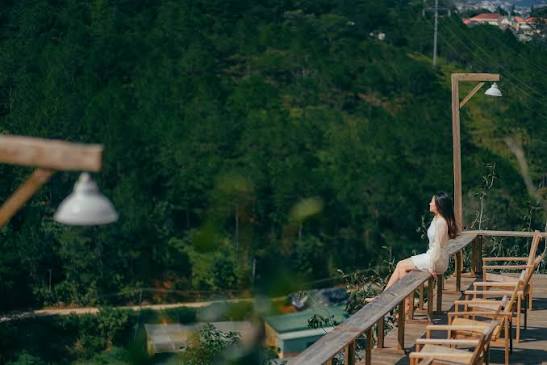 Persimmon cafe - Persimmon cafe updated their cover photo.