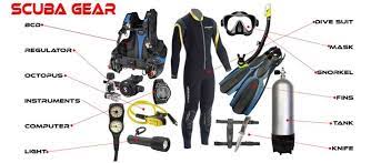 An article about the top gear of the year. The Ultimate Guide To Buying Scuba Diving Gear In 2020 Dive Station Pattaya