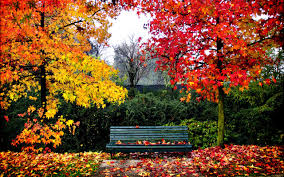 Pin on #Otoño