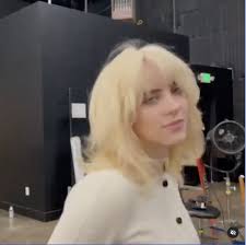 Check spelling or type a new query. Billie Eilish Debuted New Blonde Hair On Instagram