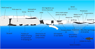 Pictures of oil spill coloring pages and many more. A Bayesian Network Risk Model For Assessing Oil Spill Recovery Effectiveness In The Ice Covered Northern Baltic Sea Sciencedirect