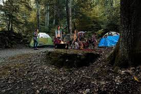 The national park service has six facilities that are either located in or pass through west virginia, but only new river gorge national river has large camping facilities in the state. 7 Off The Grid Camping Spots In Wv Almost Heaven West Virginia Almost Heaven West Virginia