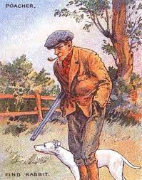 أين الأرنب في الصورة لا نعرف عالم الابداع والمعرفة facebook