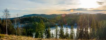 Shop our collection of clothes, accessories, beauty & more. As Store Norske Leksikon