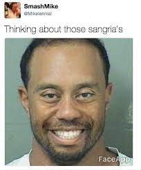 Tiger Woods Mugshot Memes