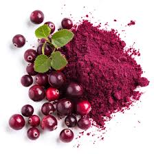 Cranberry extract 5% PAC - Wholesale Distributor